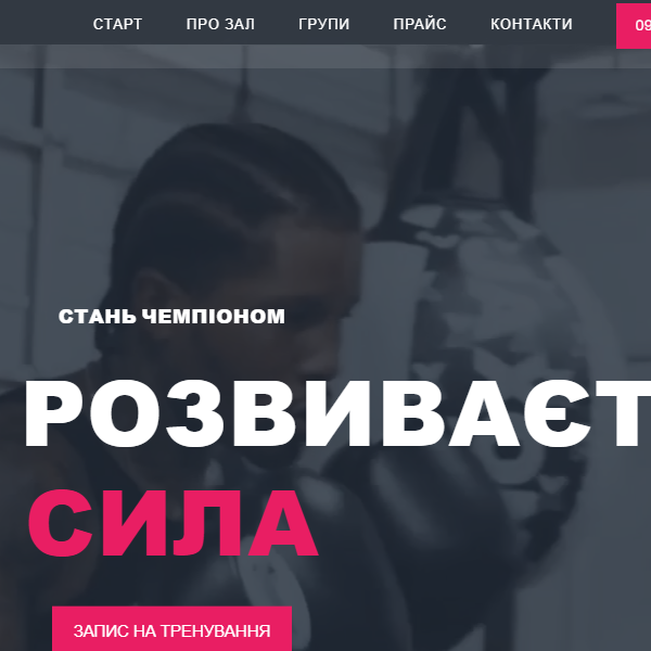 Школа боксу